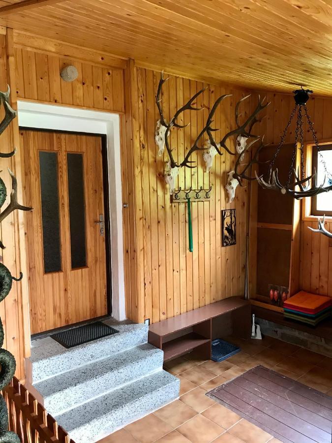 Apartman Na Kopecku Modrava Dış mekan fotoğraf